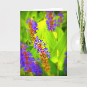 Cartão Greeting Card - Blank Inside