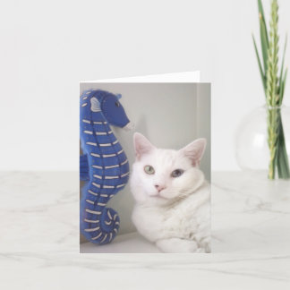 Cartão Greeting Card Blank Inside