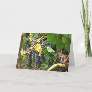 Cartão Greeting card, blank, with grapes