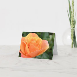 Cartão Greeting card, blank, with Orange Rose