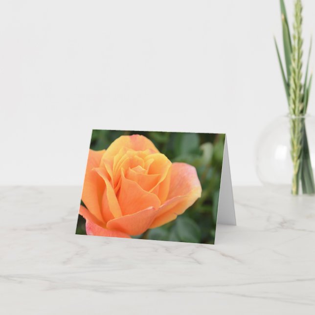 Cartão Greeting card, blank, with Orange Rose (Frente)