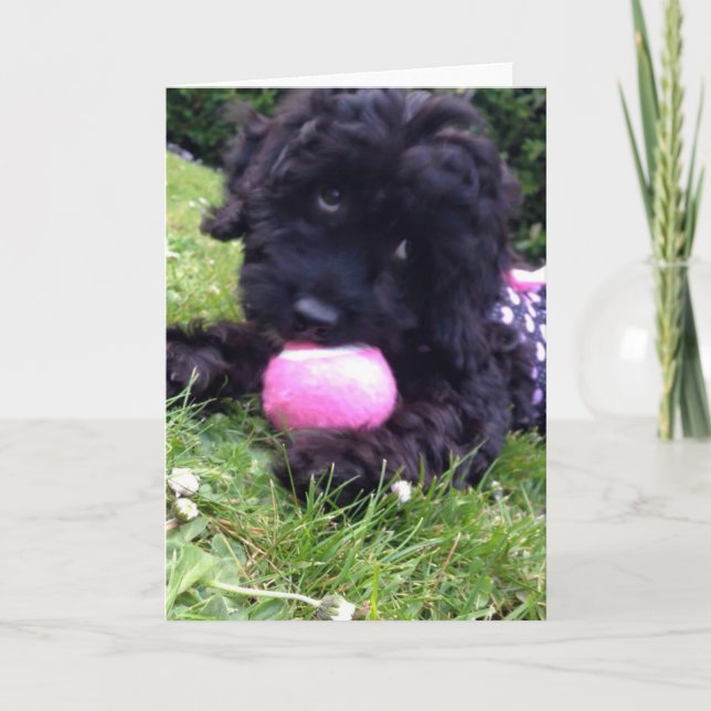 Cartão Greeting Card - Cockapoo Puppy (Frente)