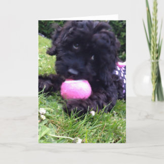Cartão Greeting Card - Cockapoo Puppy