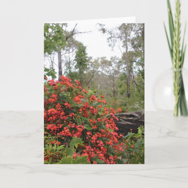 Cartão GREETING CARD - Coral creeper (Frente)