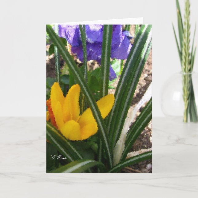 Cartão Greeting Card-Crocus and Pansies (Frente)