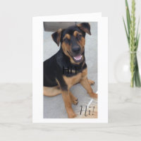 Greeting Card for Rescued Animal Lovers.