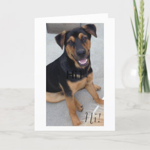 Cartão Greeting Card for Rescued Animal Lovers.