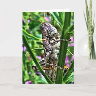 Cartão Greeting Card from the Lil' Monsters Collection