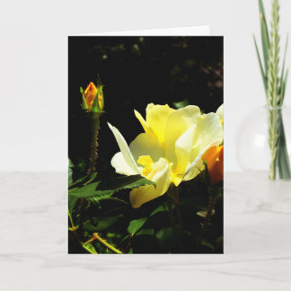 Cartão Greeting Card from the Nature Erotica Collection