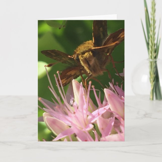 Cartão Greeting Card from the Nature Erotica Collection (Frente)