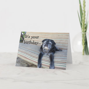 Cartão Greeting card: Happy birthday/Close your eyes