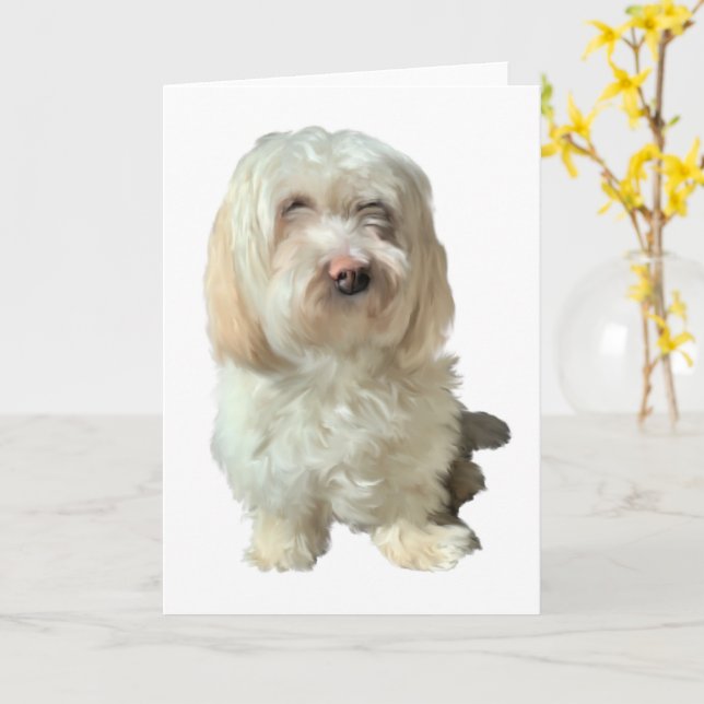 Cartão Greeting Card Havanese Dog (Flor Amarela)