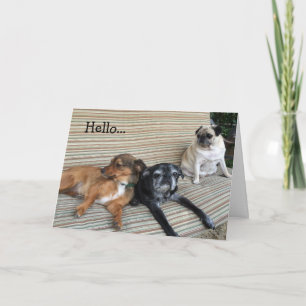 Cartão Greeting card: Hello/Wish you were here