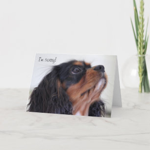 Cartão Greeting Card - I'm Sorry