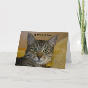 Cartão Greeting Card: It Wasn't Me Cat