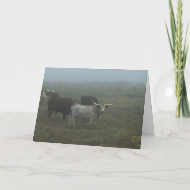 Cartão Greeting Card "Longhorns in the Fog" (blank inside (Frente)