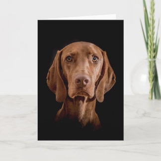 Cartão Greeting Card  "Magyar Vizsla"