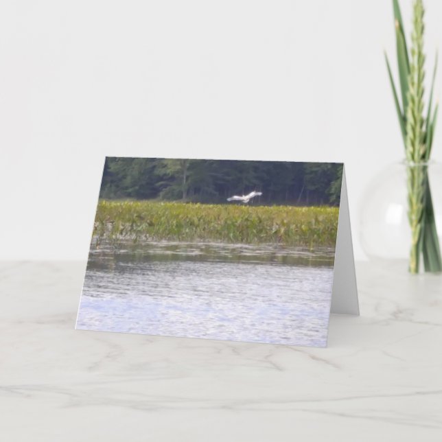 Cartão Greeting Card Nature Scene (Frente)