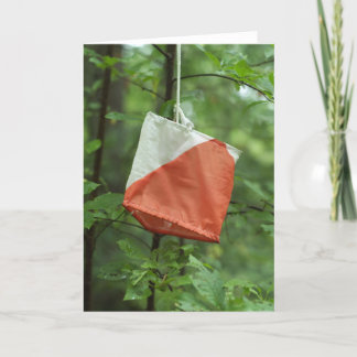 Cartão Greeting Card - Orienteering flag