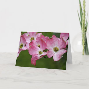 Cartão Greeting Card: Pink Dogwood