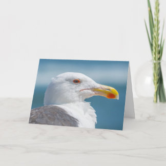Cartão Greeting Card - Regal Seagull