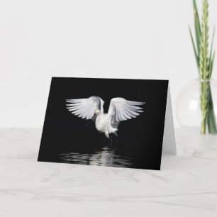 Cartão Greeting card - Snowy egret