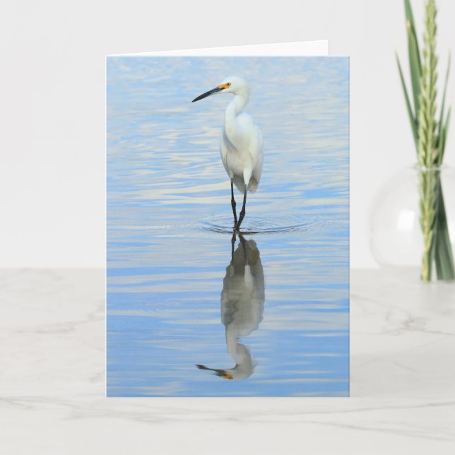 Cartão Greeting card - Snowy egret turning (Frente)