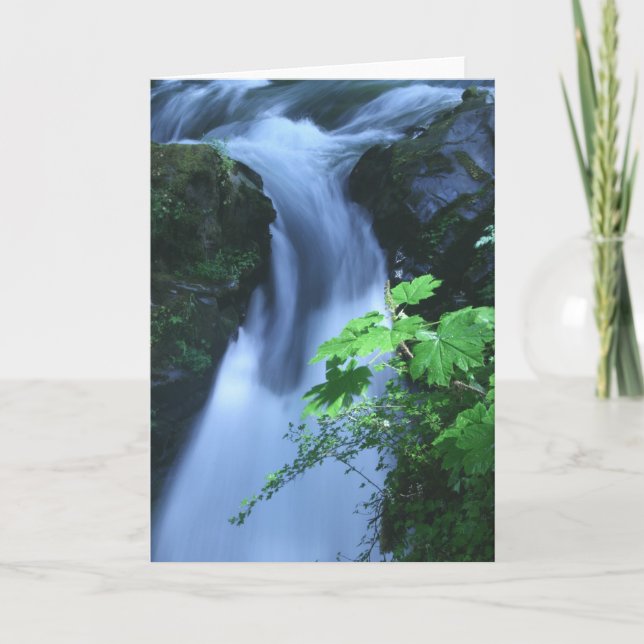 Cartão Greeting Card: Sol Duc Falls (Frente)