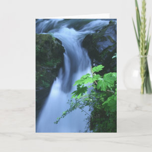 Cartão Greeting Card: Sol Duc Falls