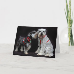 Cartão Greeting Card Two Schnauzers Whispering