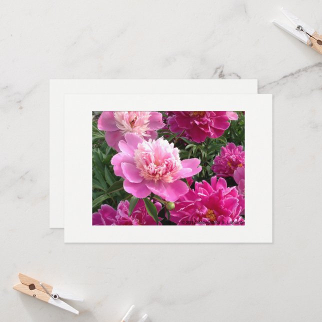 Cartão Greeting card with beautiful peonies (Frente/Verso In Situ)