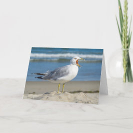 Cartão Greeting Card - Yawning Seagull