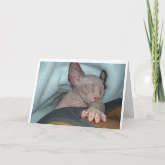 Cartão Greeting cards