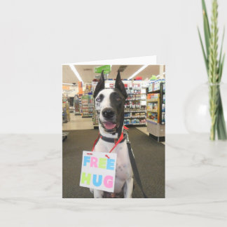 Cartão Greeting Cards by Dozer the Therapy Dog