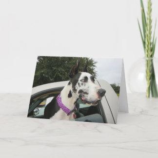 Cartão Greeting Cards by Dozer the Therapy Dog