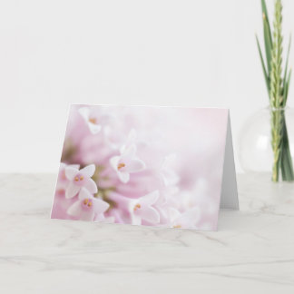 Cartão Greeting Cards pink flowers Horizontal