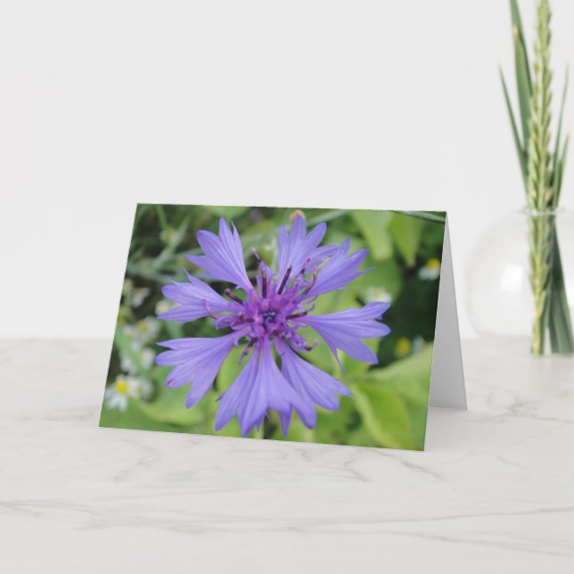 Cartão Greeting map blue cornflower, shapable in blank (Frente)