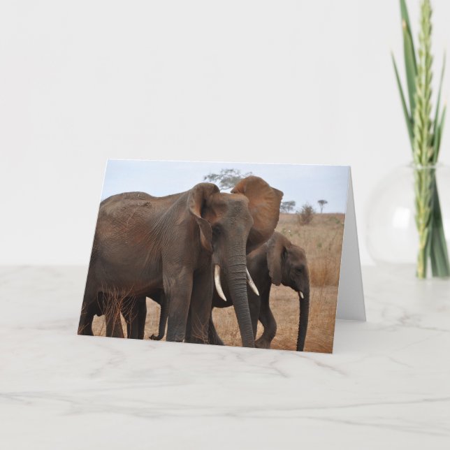 Cartão Greetings and Salutations (Frente)