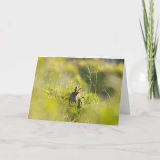 Cartão Greetings Card - Rabbit 3
