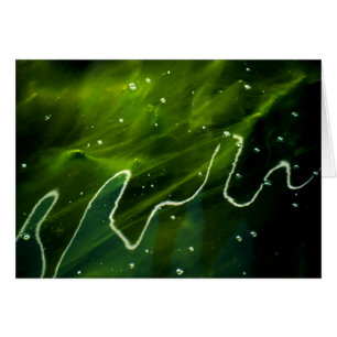 Cartão Grelha verde e água