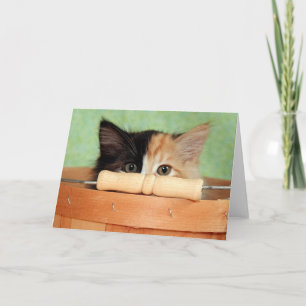 Cartão Greyfoot Cat Rescue Calico Kitten Card