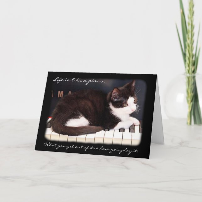 Cartão Greyfoot Cat Rescue Life is a Piano Card (Frente)
