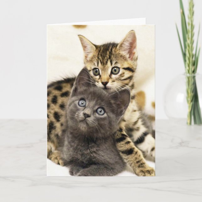 Cartão Greyfoot Cat Two Cute Kittens Greeting Card (Frente)