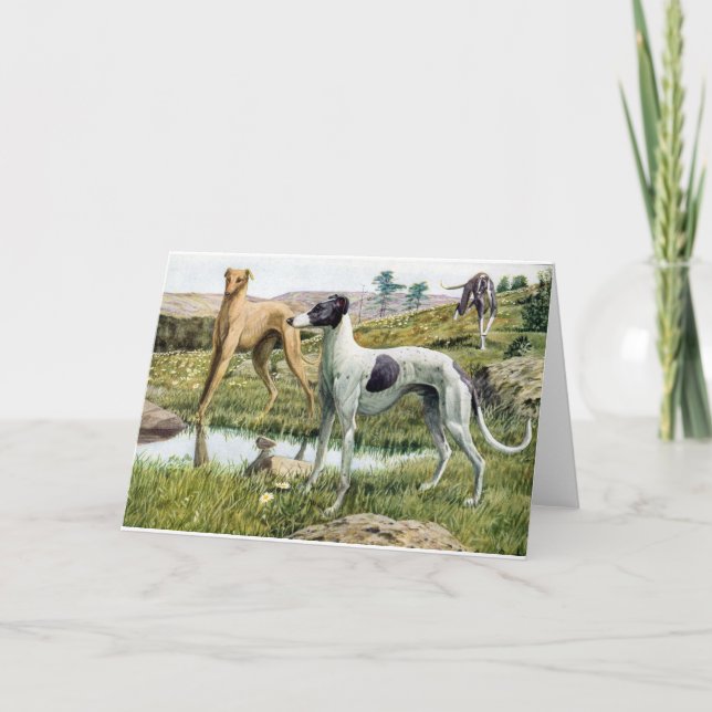 Cartão Greyhound (Frente)