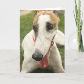 Cartão Greyhound
