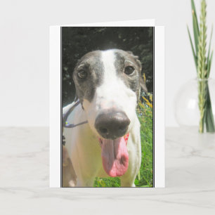 Cartão Greyhound Card