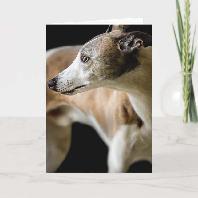 Cartão Greyhound Dog (Frente)