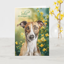 Cartão Greyhound Dog Tiny Yellow Flowers Get Well