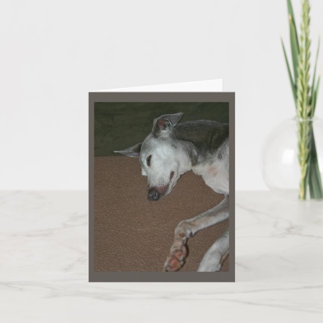 Cartão Greyhound Italiano nº 2 (Frente)