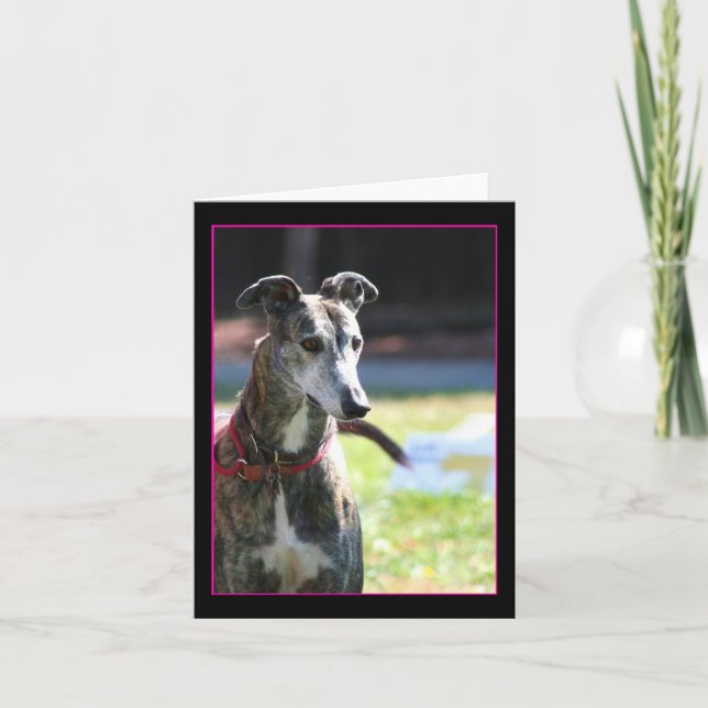Cartão Greyhound Notecard (Frente)
